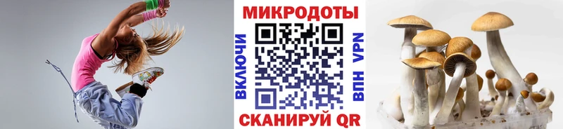 Купить закладки  Новопавловск  Галлюциногенные грибы Psilocybe 
